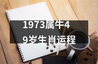 1973属牛49岁生肖运程