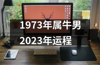 1973年属牛男2023年运程