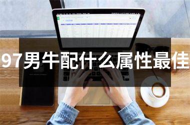 <h3>97男牛配什么属性最佳