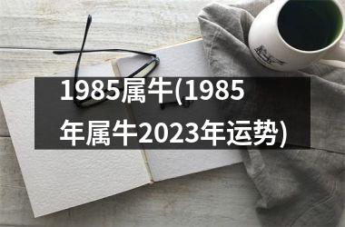 1985属牛(1985年属牛2023年运势)