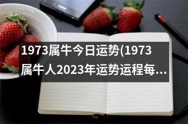 1973属牛今日运势(1973属牛人2023年运势运程每月运程)