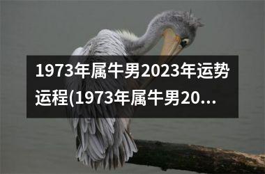 1973年属牛男2023年运势运程(1973年属牛男2023年运势及运程每月运程)