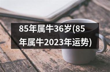 85年属牛36岁(85年属牛2023年运势)