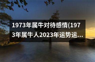 1973年属牛对待感情(1973年属牛人2023年运势运程)