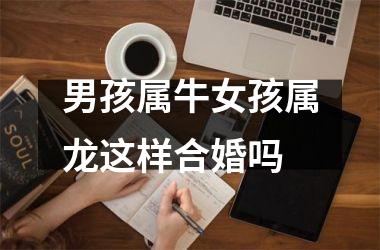 <h3>男孩属牛女孩属龙这样合婚吗