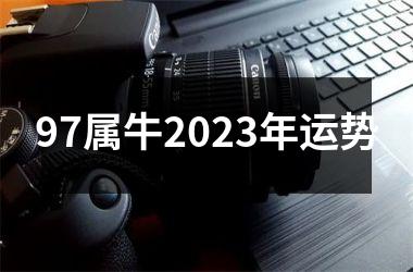 97属牛2025年运势