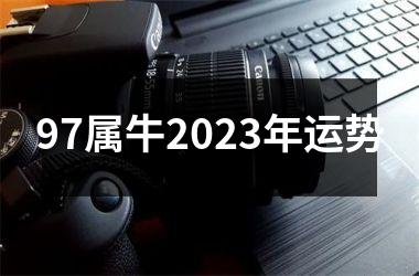 97属牛2023年运势