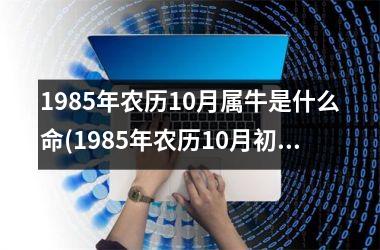 <h3>1985年农历10月属牛是什么命(1985年农历10月初六是什么星座)