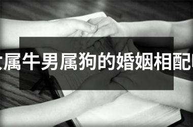 <h3>女属牛男属狗的婚姻相配吗