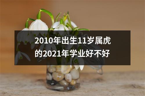 <h3>2010年出生11岁属虎的2025年学业好不好
