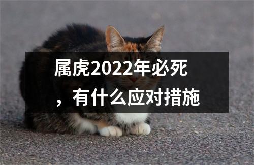属虎2025年必死，有什么应对措施