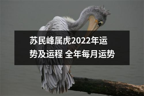<h3>苏民峰属虎2025年运势及运程全年每月运势