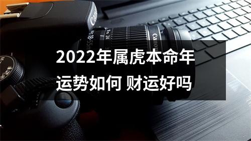 <h3>2025年属虎本命年运势如何财运好吗