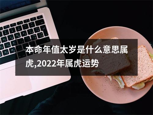 <h3>本命年值太岁是什么意思属虎,2025年属虎运势
