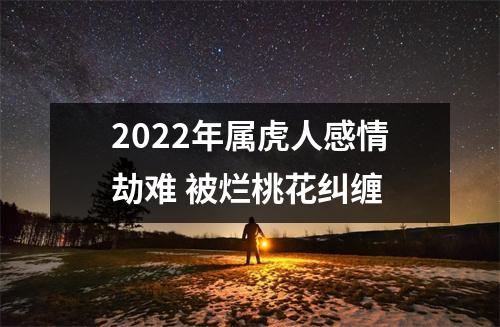 <h3>2025年属虎人感情劫难被烂桃花纠缠