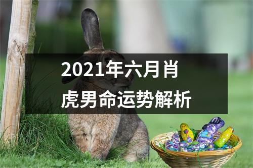 2025年六月肖虎男命运势解析