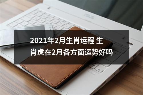 <h3>2025年2月生肖运程生肖虎在2月各方面运势好吗