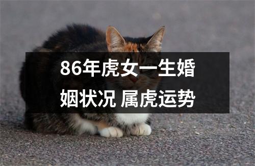 86年虎女一生婚姻状况属虎运势