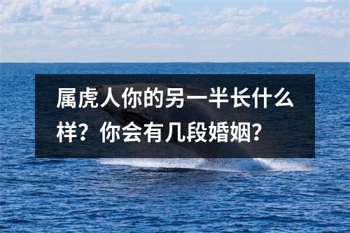 <h3>属虎人你的另一半长什么样？你会有几段婚姻？