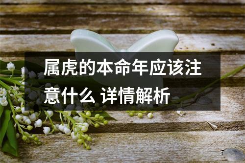 <h3>属虎的本命年应该注意什么详情解析