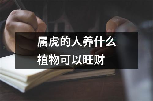 属虎的人养什么植物可以旺财