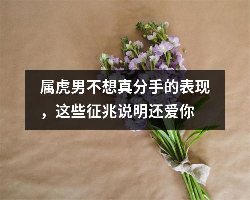 <h3>属虎男不想真分手的表现，这些征兆说明还爱你