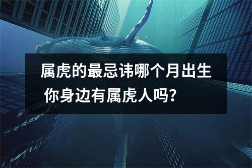属虎的忌讳哪个月出生你身边有属虎人吗？