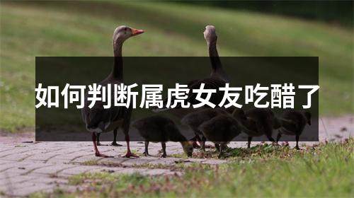 <h3>如何判断属虎女友吃醋了