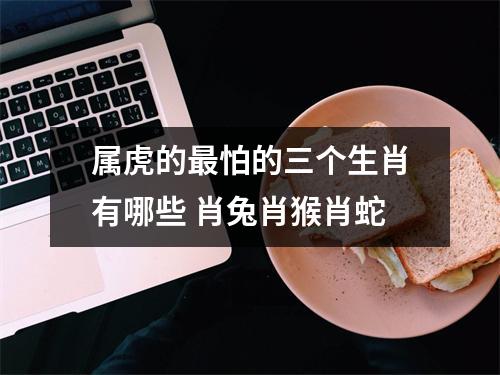 <h3>属虎的怕的三个生肖有哪些肖兔肖猴肖蛇