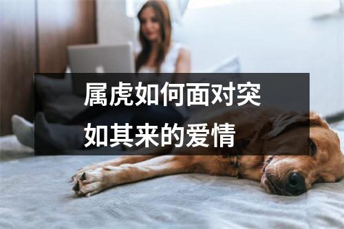 <h3>属虎如何面对突如其来的爱情