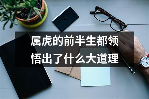 <h3>属虎的前半生都领悟出了什么大道理
