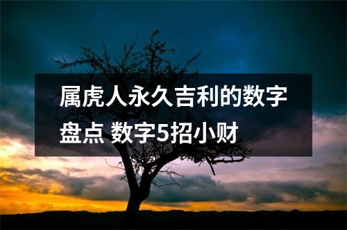 属虎人永久吉利的数字盘点数字5招小财