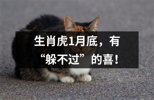 <h3>生肖虎1月底，有“躲不过”的喜！