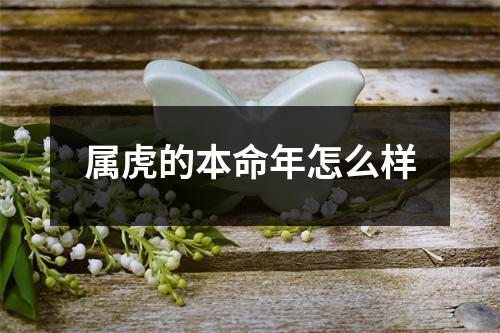 <h3>属虎的本命年怎么样