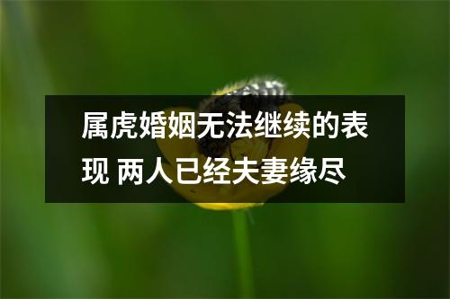 <h3>属虎婚姻无法继续的表现两人已经夫妻缘尽