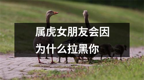 <h3>属虎女朋友会因为什么拉黑你