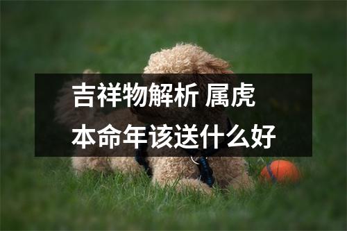 <h3>吉祥物解析属虎本命年该送什么好