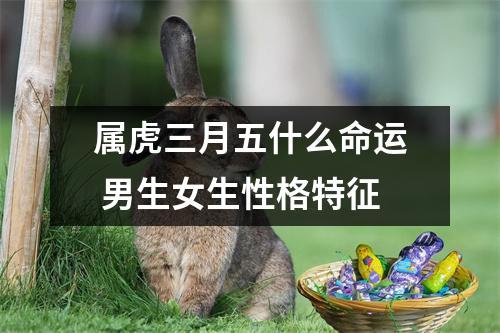 <h3>属虎三月五什么命运男生女生性格特征