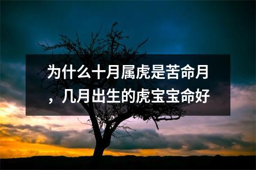 为什么十月属虎是苦命月，几月出生的虎宝宝命好