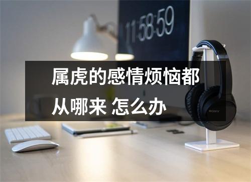 <h3>属虎的感情烦恼都从哪来怎么办