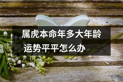 <h3>属虎本命年多大年龄运势平平怎么办