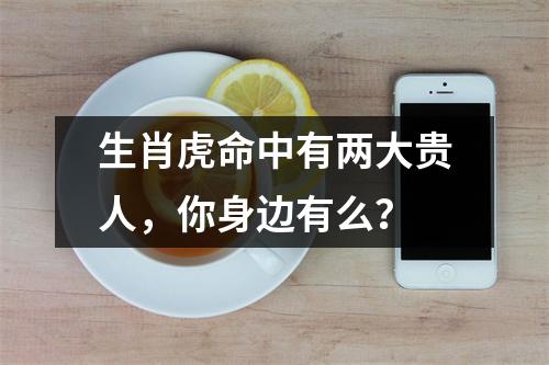 生肖虎命中有两大贵人，你身边有么？