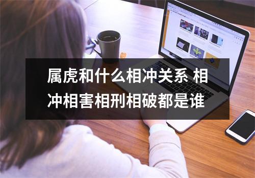 属虎和什么相冲关系相冲相害相刑相破都是谁