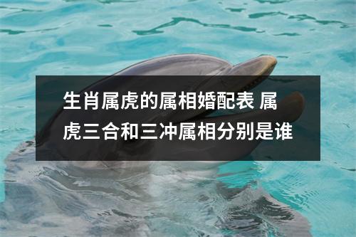 <h3>生肖属虎的属相婚配表属虎三合和三冲属相分别是谁