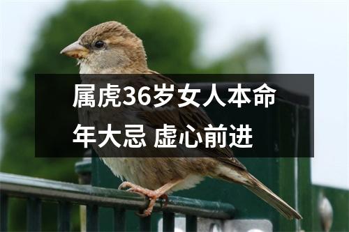 属虎36岁女人本命年大忌虚心前进