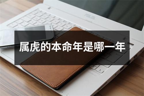 <h3>属虎的本命年是哪一年