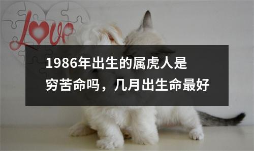 <h3>1986年出生的属虎人是穷苦命吗，几月出生命好