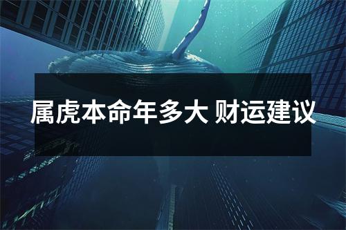 <h3>属虎本命年多大财运建议