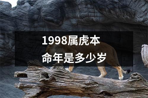 1998属虎本命年是多少岁