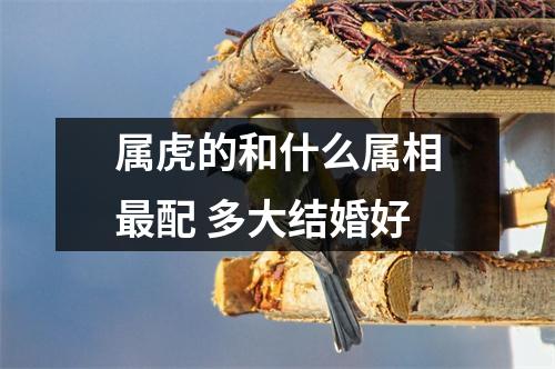 <h3>属虎的和什么属相配多大结婚好